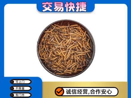 昆明五华区高价回收散虫草